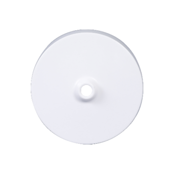 CEILING ROSE