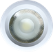 COB DOWNLIGHT