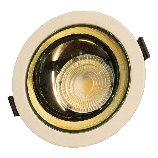 WHITE BODY, GOLD LENS, COB DOWNLIGHT