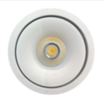 COB DOWNLIGHT